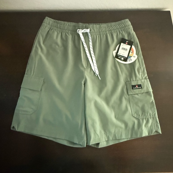 NWT Men’s Quicksilver Sage Green Board Swim Shorts - Size Small - Picture 1 of 8